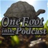 One Foot in the Podcast - One Foot in the Grave