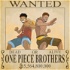 One Piece Brothers