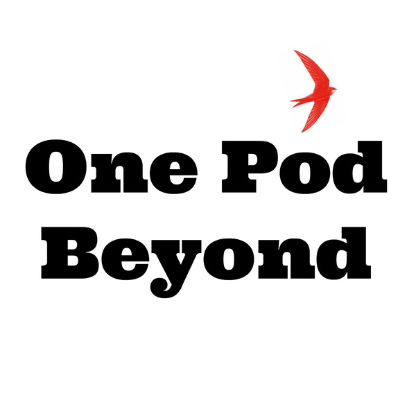 Artwork for One Pod Beyond