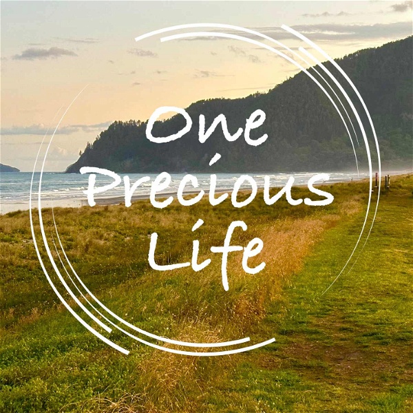 Artwork for One Precious Life Podcast