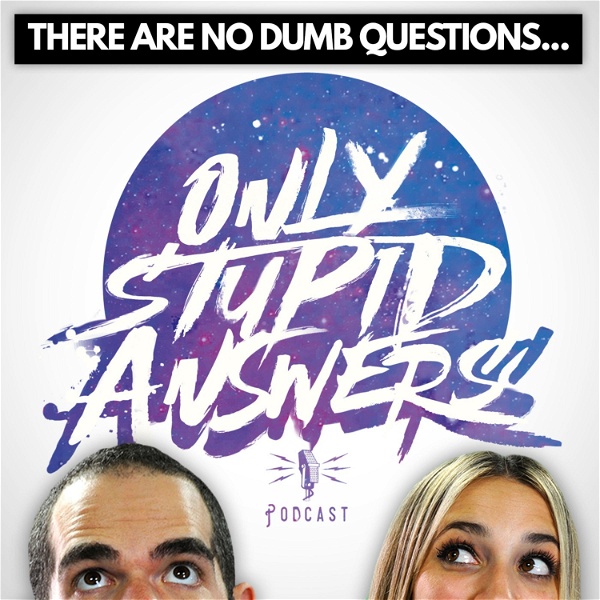 Artwork for Only Stupid Answers