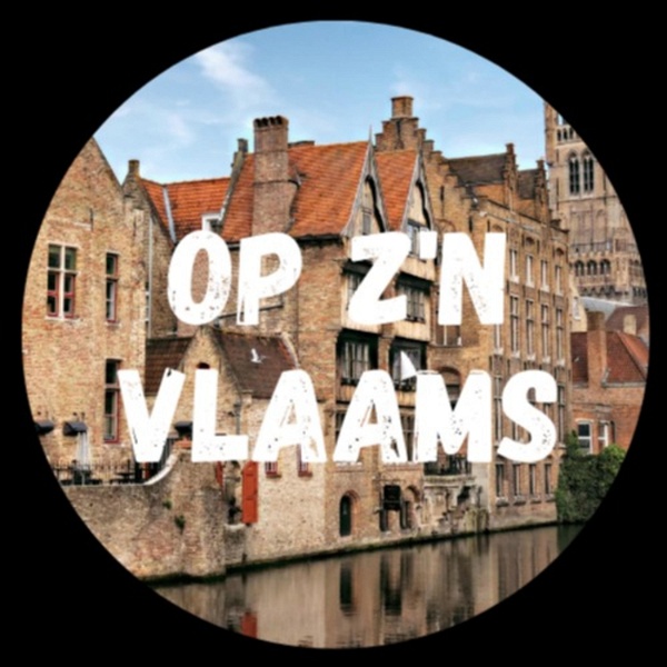 Artwork for Op z'n Vlaams