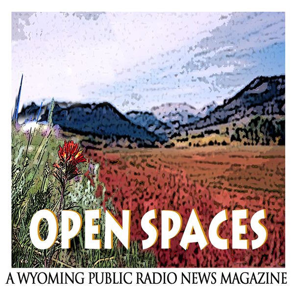 Artwork for Open Spaces