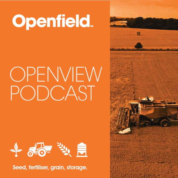Artwork for Openfield: OpenView