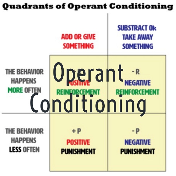 Artwork for Operant Conditioning