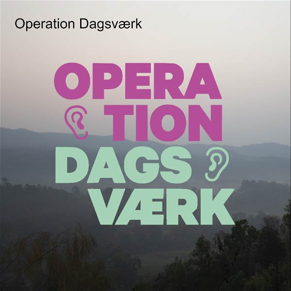 Artwork for Operation Dagsværk