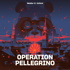 Operation Pellegrino