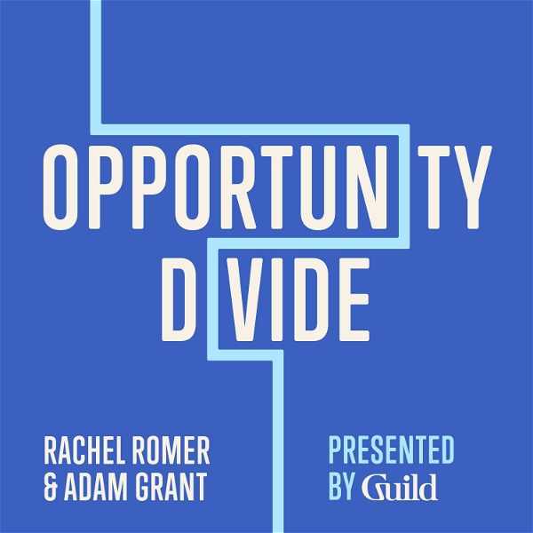 Artwork for Opportunity Divide