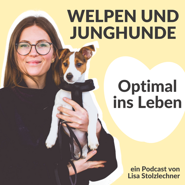 Artwork for Optimal ins Leben! Welpen und Junghunde