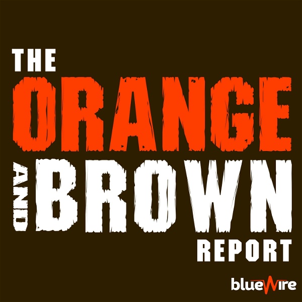 Artwork for Orange and Brown Report