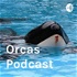 Orcas Podcast