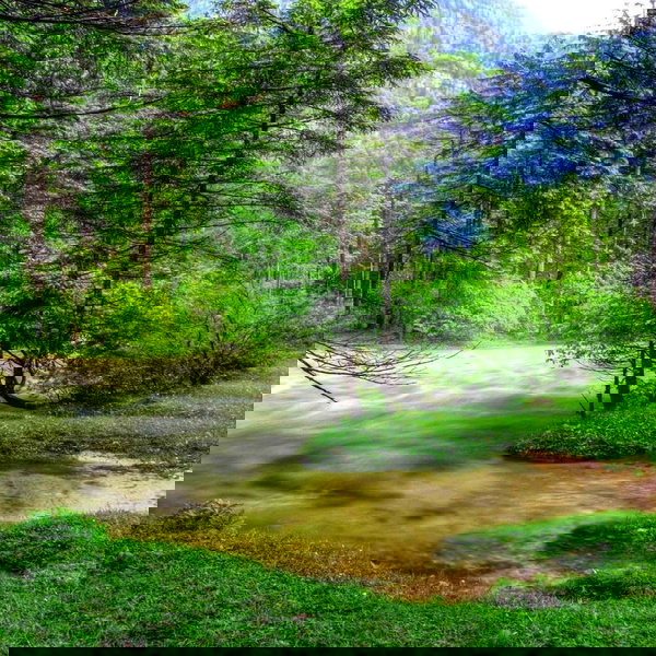 Artwork for Organic by Olejo