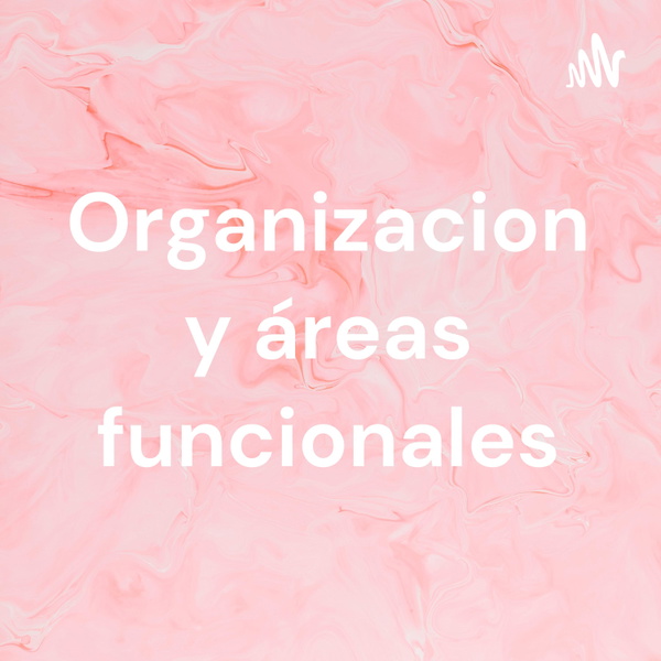 Artwork for Organizacion y áreas funcionales