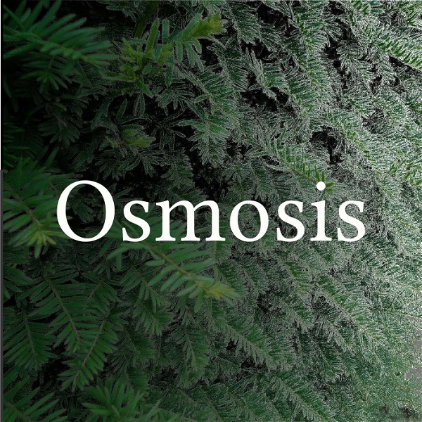 Artwork for Osmosis