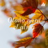 Otoño para el alma