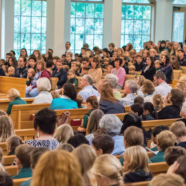 Artwork for Our Lady of Grace Catholic Church