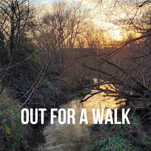 Artwork for Out for a Walk