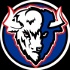 Overreaction Buffalo | A Buffalo Bills Football Podcast
