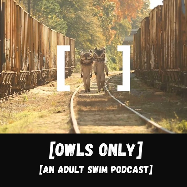 Artwork for Owls Only: An Adult Swim Podcast