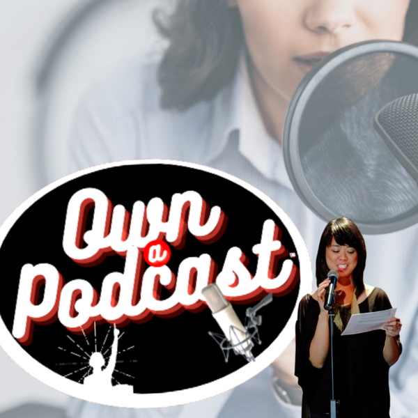 Artwork for Own a Podcast Diaries