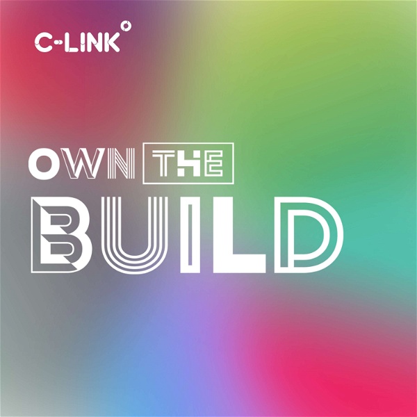 Artwork for Own The Build