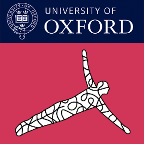 Artwork for Oxford Internet Institute