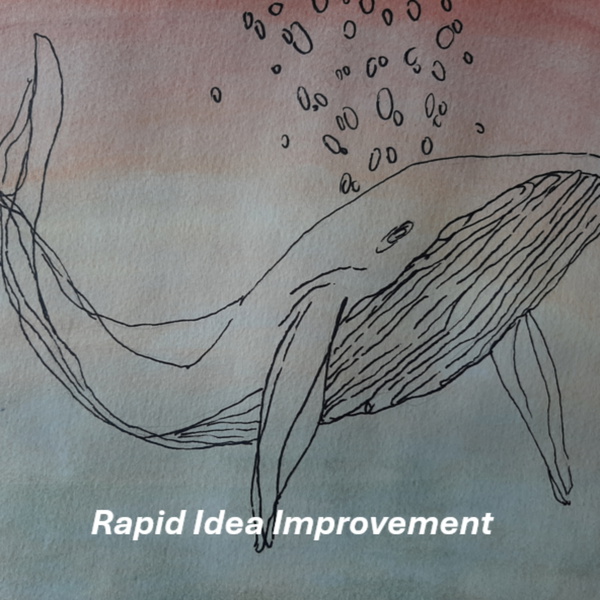 Artwork for Rapid Idea Improvement