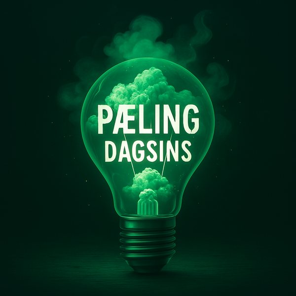 Artwork for Pæling dagsins