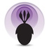 Palaeocast