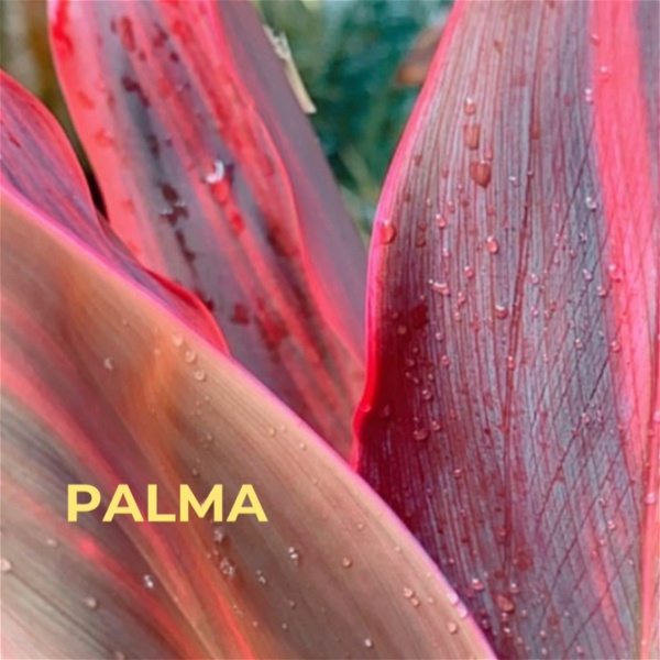 Artwork for Palma