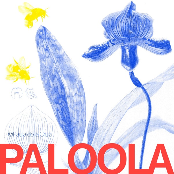 Artwork for PALOOLA: Botanical