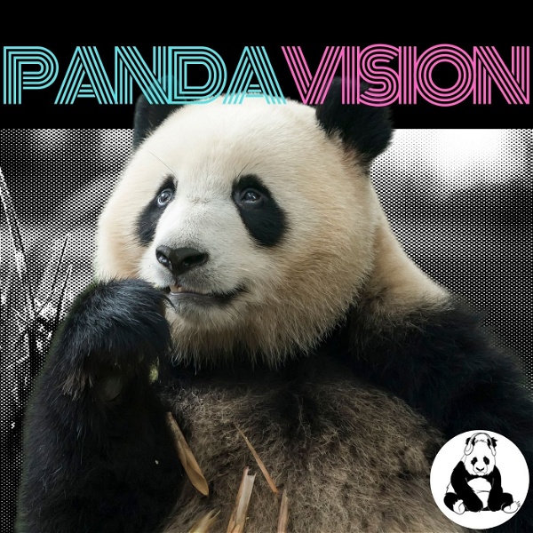 Artwork for PandaVision