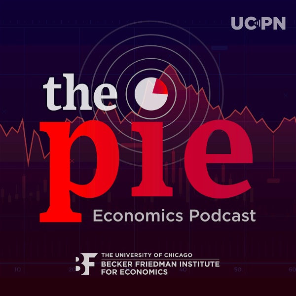 Artwork for The Pie: An Economics Podcast