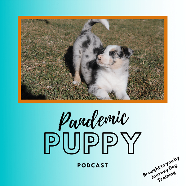Artwork for Pandemic Puppy Podcast