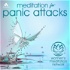 Panic Attack Meditation
