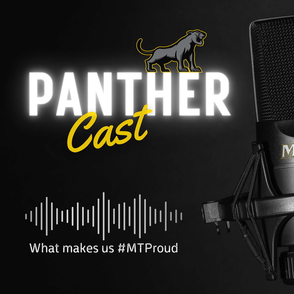 Artwork for Panther Cast