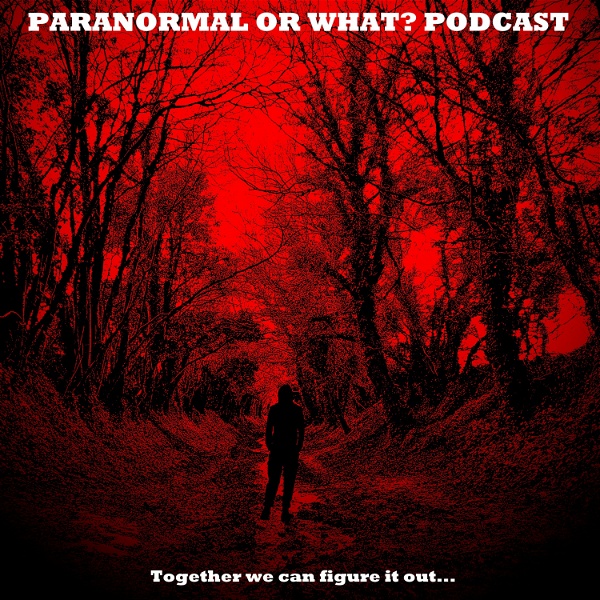Artwork for Paranormal Or What?