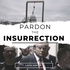 Pardon The Insurrection: News and Politics