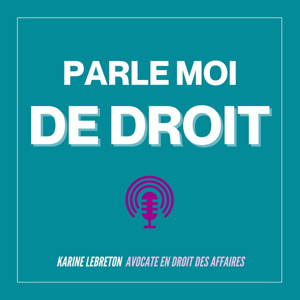 Artwork for Parle Moi De Droit