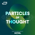 Particles of Thought