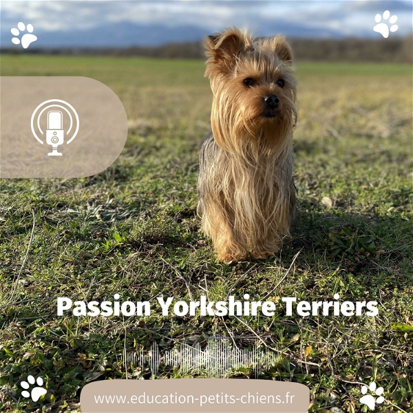 Artwork for Passion Yorkshire terriers