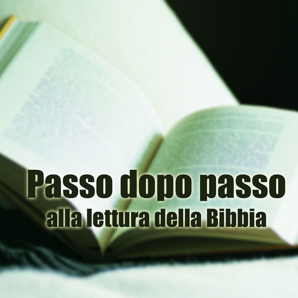 Artwork for Passo dopo passo alla lettura della Bibbia