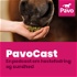 Pavocast