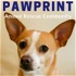 Pawprint | animal rescue podcast for dog, cat, and other animal lovers