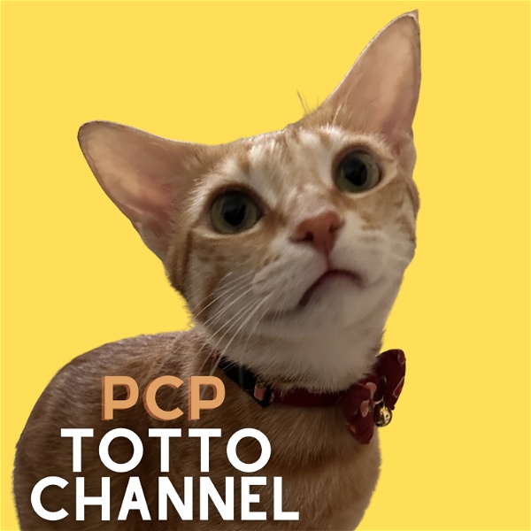 Artwork for PCP TOTTO CHANNEL