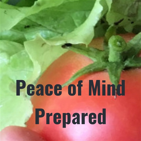 Artwork for Peace of Mind Prepared