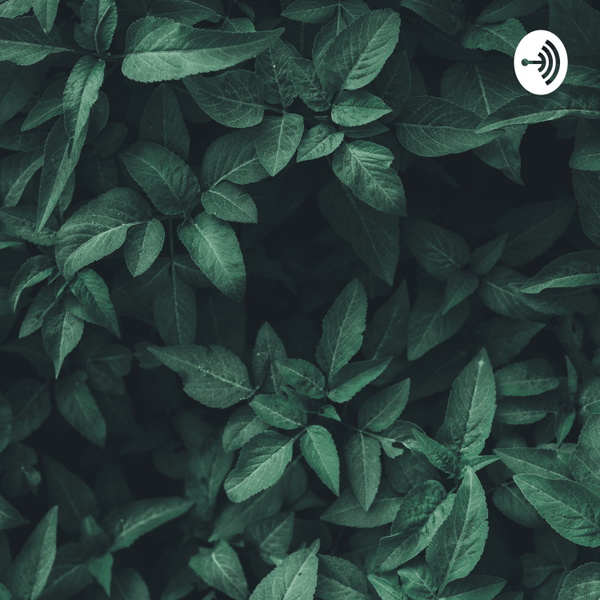 Artwork for PeadEndo