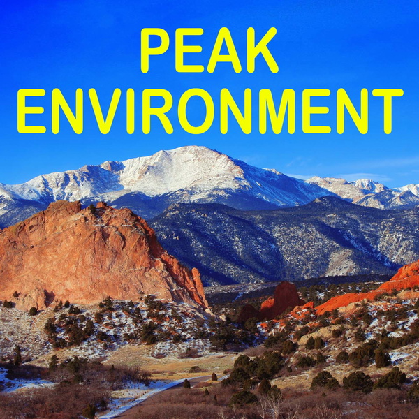 Artwork for Peak Environment