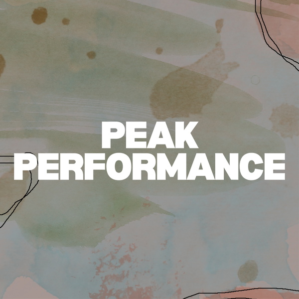 Artwork for Peak Performance