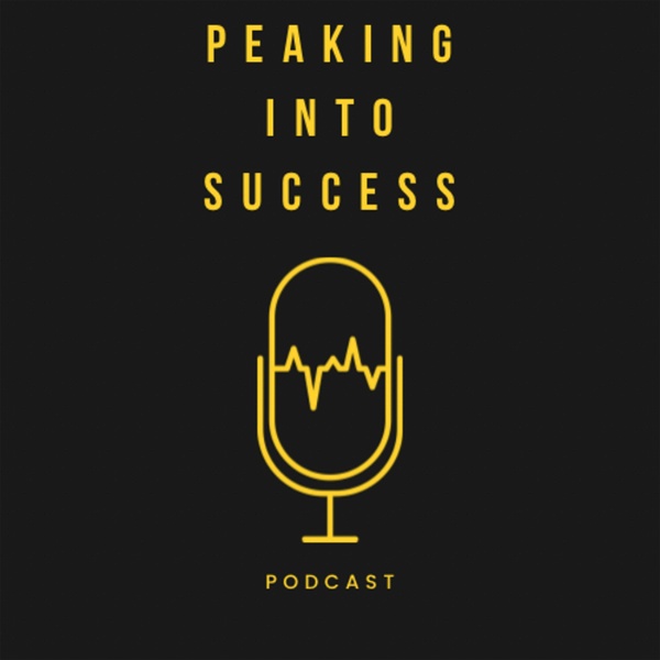 Artwork for Peaking into Success